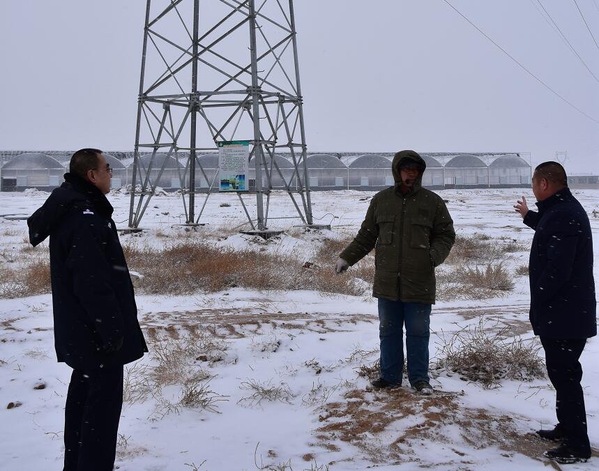 二連浩特供電公司：開展客戶側安全檢查，確?？诎犊蛻粝楹兔髁吝^春節