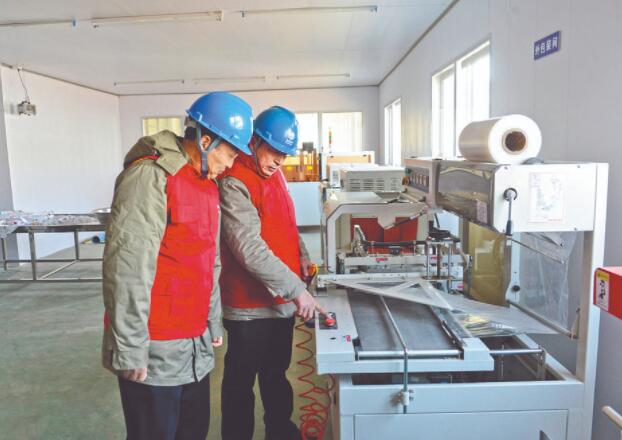 濱?？h供電公司：白首烏產業發展充上“滿格電”