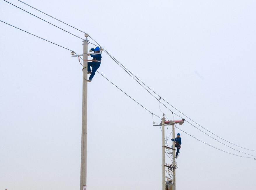 阿拉善供電公司：電網健康“體檢”，從登桿開始