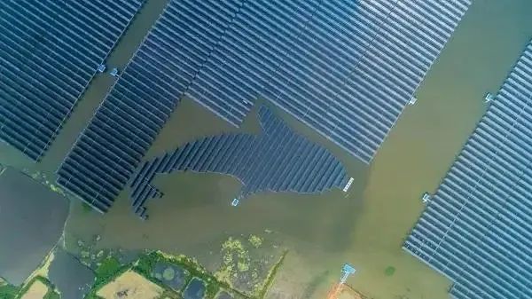 泗洪1000MW光伏領跑者項目被勒令拆除整改！