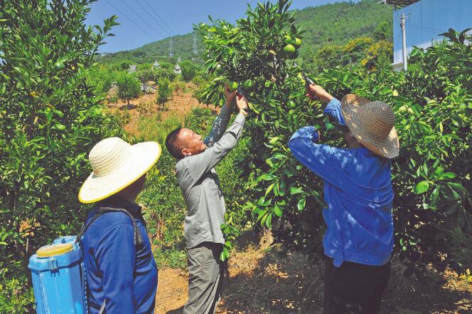 王國洲：把村事當家事，把村民當親人