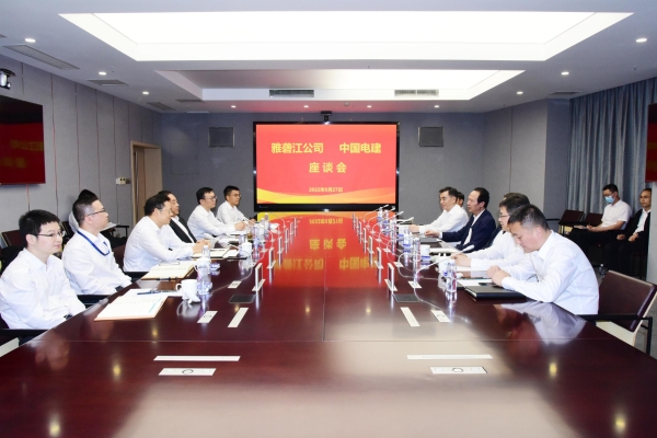 丁焰章與雅礱江公司黨委書記、董事長祁寧春座談