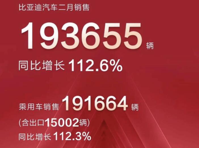 2月新能源車企成績單出爐，比亞迪一騎絕塵