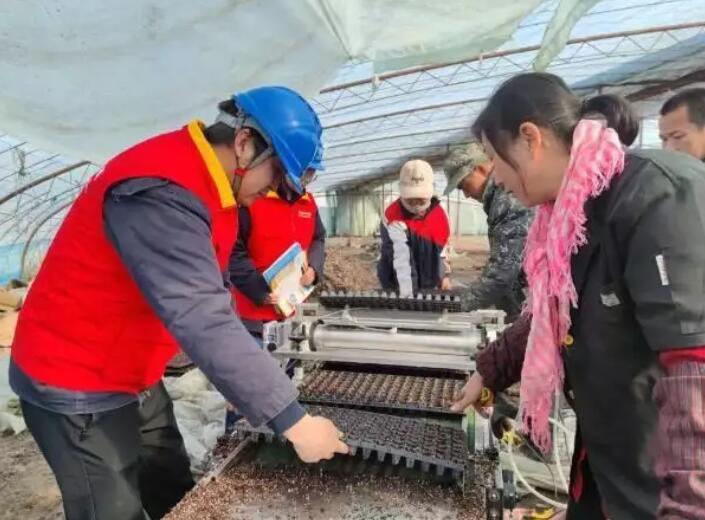 國網新疆電力公司貼心服務，為春耕春灌用電保駕護航