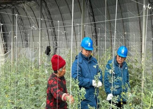 山東惠民供電公司：走訪種植大棚，優化農業營商環境