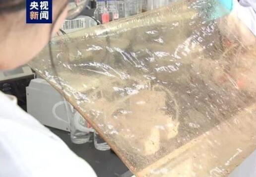 國產新型離子膜問世，有望在新能源的儲能領域廣泛應用