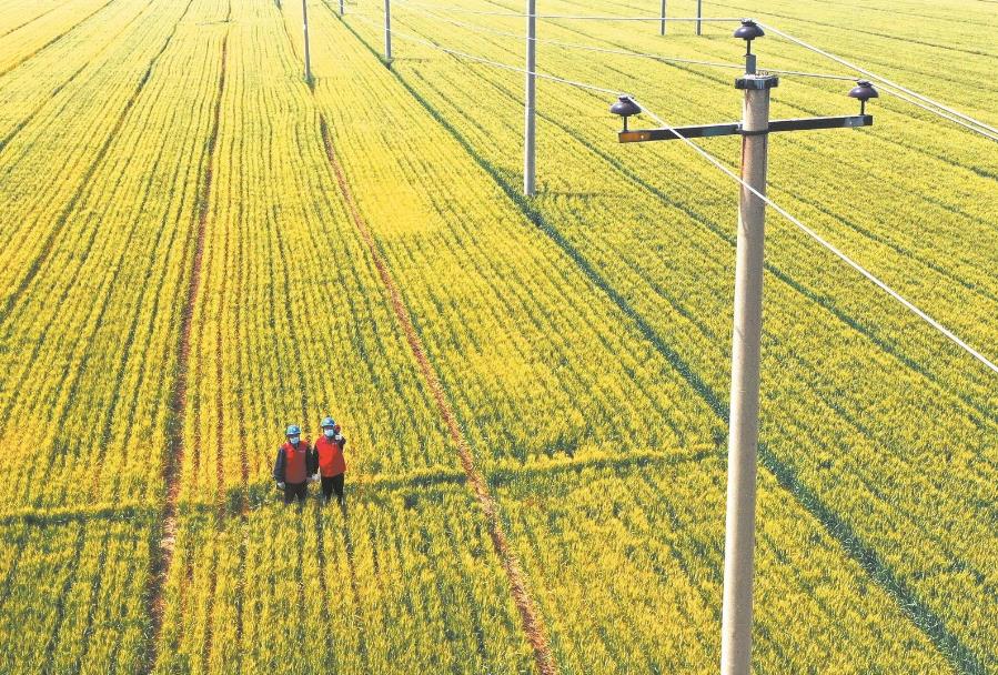 建立服務臺賬，精準了解村民用電需求