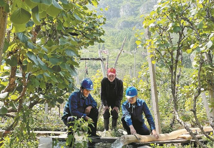 “24小時電管家”進網格 村民辦電更便捷