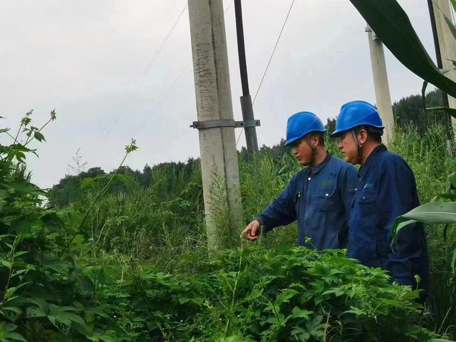 國網長春供電公司積極應對極端天氣，確保線路設備穩定運行