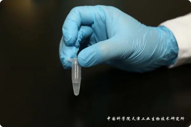 二氧化碳“變身”糖，中國科學家實現重大突破!