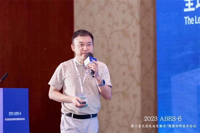 加快實現能源自主，比克鈉電電池展現顯著性能優勢