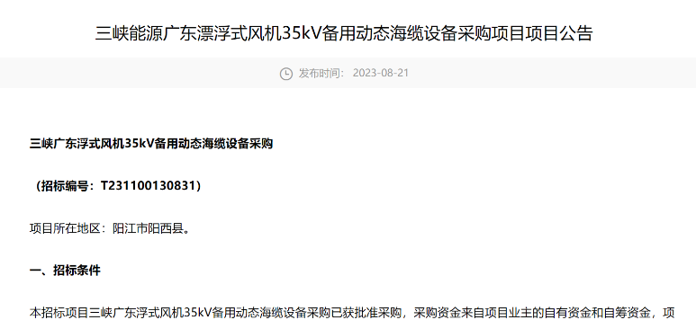 三峽能源廣東漂浮式風機35kV備用動態海纜設備采購招標