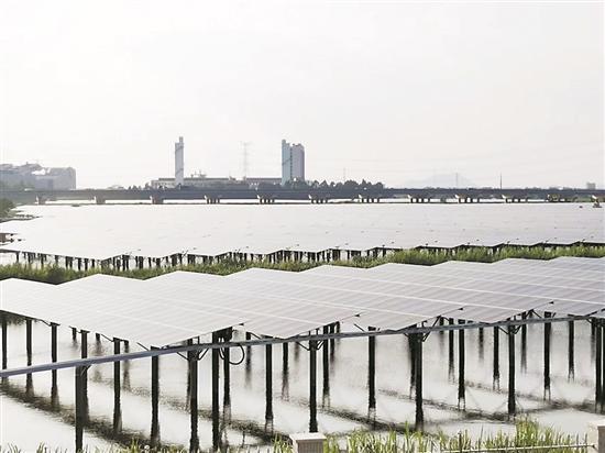汕頭金平區88兆瓦集中式漁光互補項目計劃10月并網投產，年發電量可達1.2億度