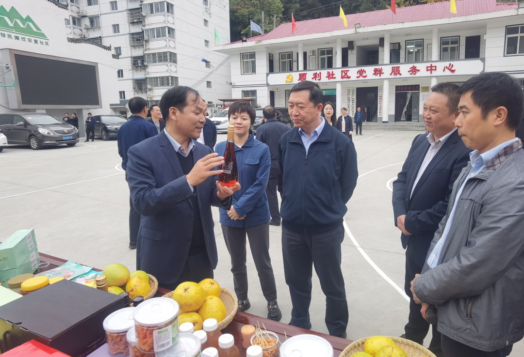 中核集團總經理、黨組副書記顧軍赴陜西白河、旬陽調研鄉村振興工作