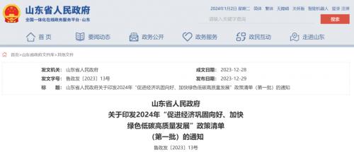 山東: 海上光伏2025年底前并網,免于配儲、有初投資補貼!