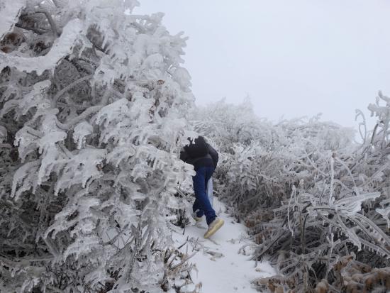 【新春走基層】迎雪而上攻堅行，奮戰不息護光明