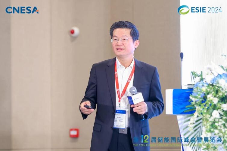 林澤波：儲能企業出海不是價格競爭，而是以定制優質產品和服務實現可持續發展
