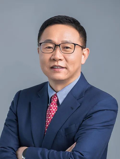 華為汪濤：用數智化技術，解決新型電力系統世界級難題