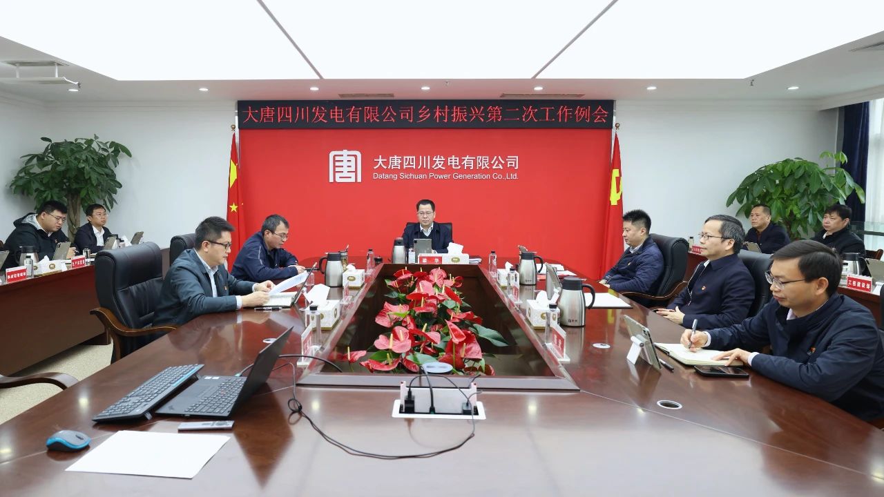 大唐四川公司召開(kāi)2024年度鄉村振興領(lǐng)導小組第二次會(huì )議