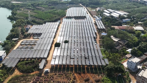 西鄉塘區金陵農光互補光伏發(fā)電項目全容量并網(wǎng)發(fā)電