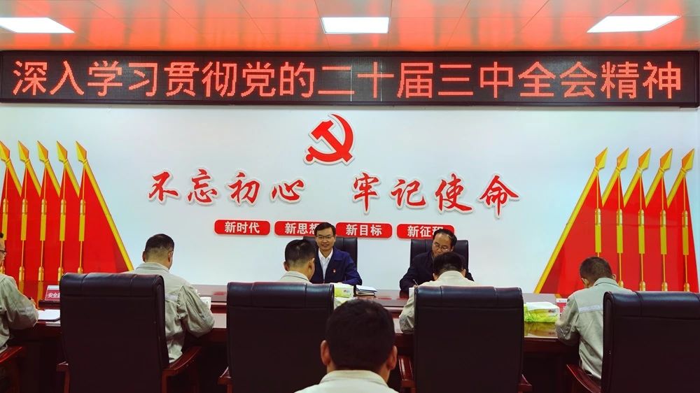 深入學(xué)習貫徹黨的二十屆三中全會(huì )精神? 大唐四川公司領(lǐng)導班子成員赴黨建聯(lián)系點(diǎn)講授專(zhuān)題黨課
