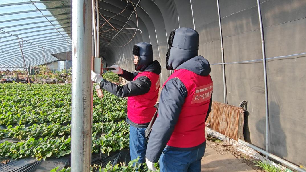 國網(wǎng)扎魯特旗供電公司 電力助農行動(dòng)ing 護航果蔬大棚溫暖過(guò)冬