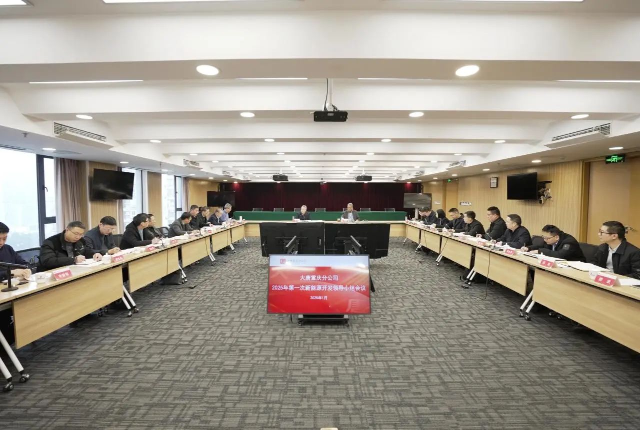 大唐重慶分公司召開(kāi)2025年第一次新能源開(kāi)發(fā)領(lǐng)導小組會(huì )議