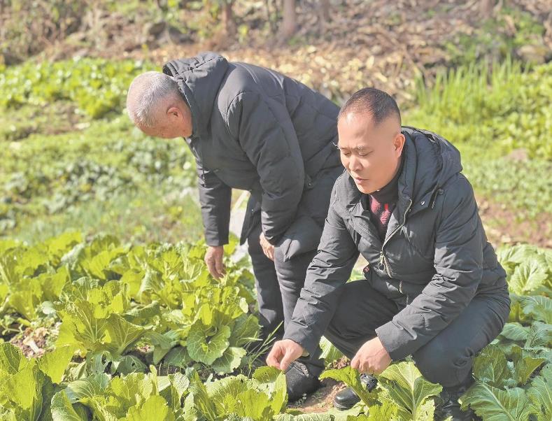 陽(yáng)劍：把村民的事當自己的事辦