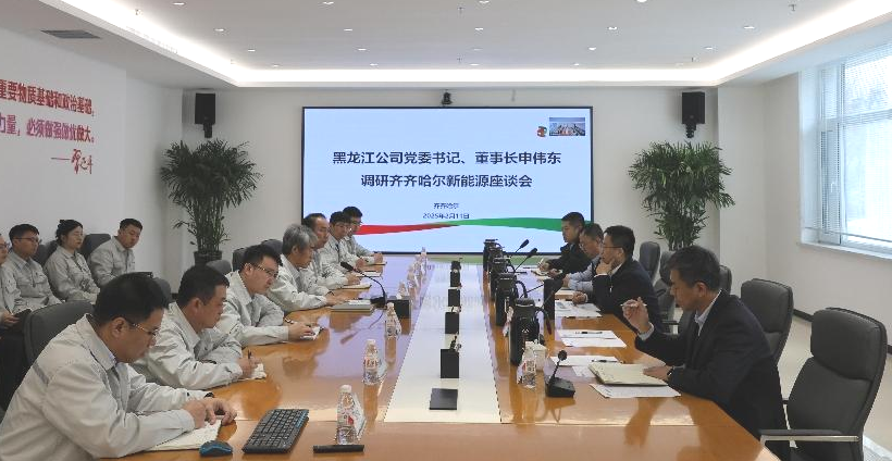 國家電投黑龍江公司黨委書(shū)記申偉東到齊齊哈爾新能源公司開(kāi)展安全生產(chǎn)盡職督察