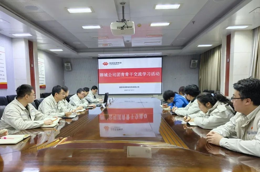 國能聊城公司舉辦團青骨干業(yè)財融合主題研學(xué)活動(dòng)聚合力啟新程