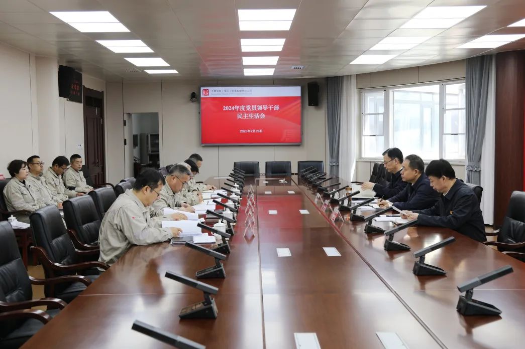 大唐陜西公司黨委書(shū)記陳偉慶督導寶二公司2024年度黨員領(lǐng)導干部民主生活會(huì )