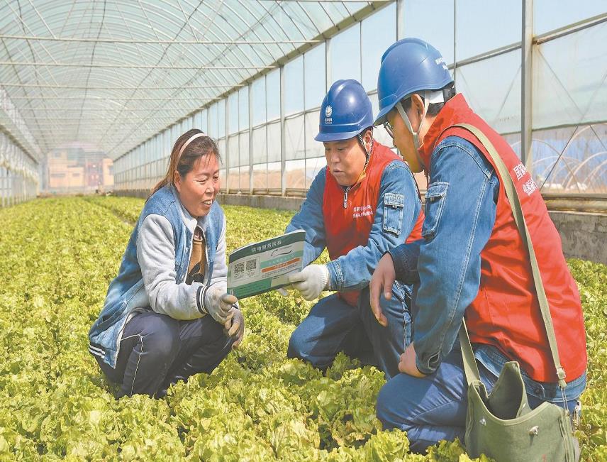 河南長(cháng)葛市供電公司多舉措助力鄉村振興