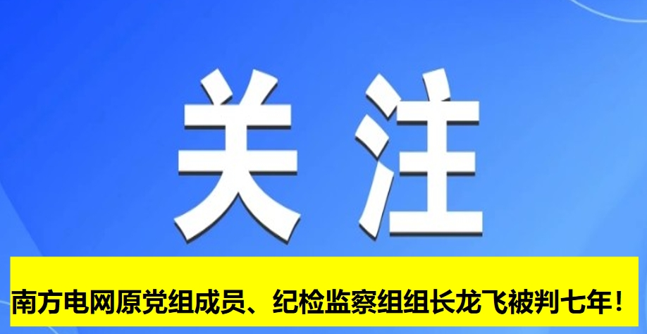 南方電網原黨組成員、紀檢監察組組長龍飛被判